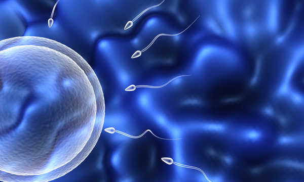 IUI vs. IVF – porównanie inseminacji domacicznej z in vitro