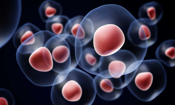 Komórki macierzyste Lipogems w leczeniu chorób stawów